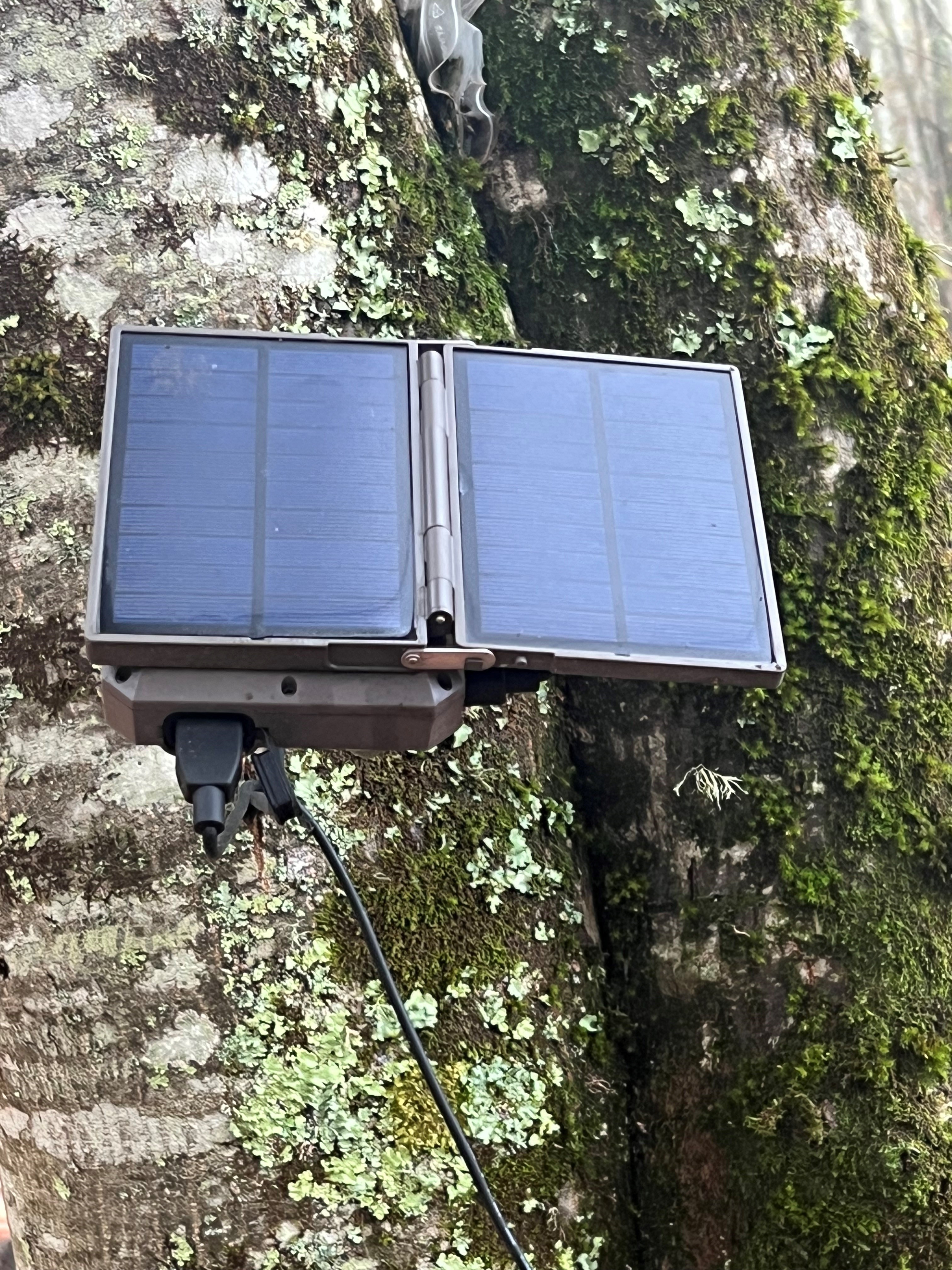 Panneau solaire 6 V avec batterie intégrée pour pièges photographiques